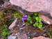 dolomity-italie-040.jpg