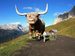 dolomity-italie-120.jpg