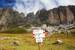 dolomity-italie-138.jpg