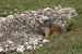 dolomity-italie-154.jpg