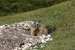 dolomity-italie-155.jpg