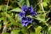 dolomity-italie-159.jpg